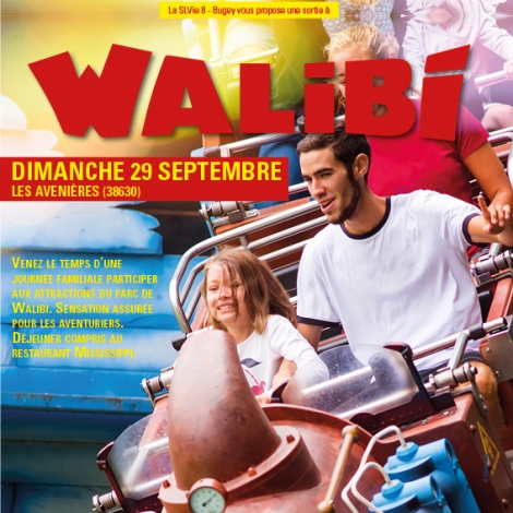 SORTIE FAMILIALE WALIBI