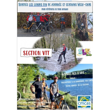 SECTION VTT - SLVIE4 de BELLEY