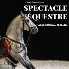 SPECTACLE EQUESTE A CLUNY