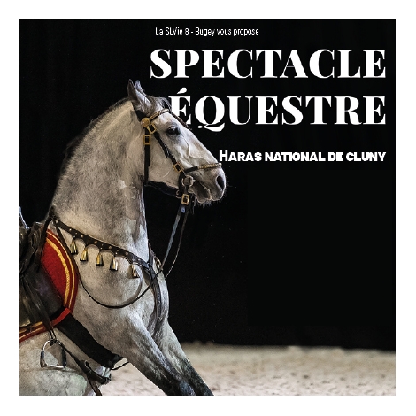 SPECTACLE EQUESTE A CLUNY