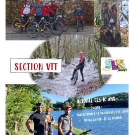 SECTION VTT