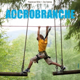 ACCROBRANCHE - SLV 7
