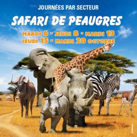 Journée par Secteur - jeudi 15 octobre 2026